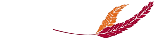 Calamus Svanö