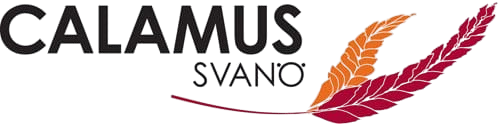 Calamus Svanö